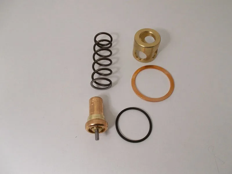 KVAT.0290 Kit de repuesto para válvula termostática VT - VTF20 / 55° image 0