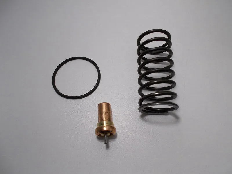 KVAT.1290 Maintenance kits for thermostatic valve VT - VTFT35 71° image 0