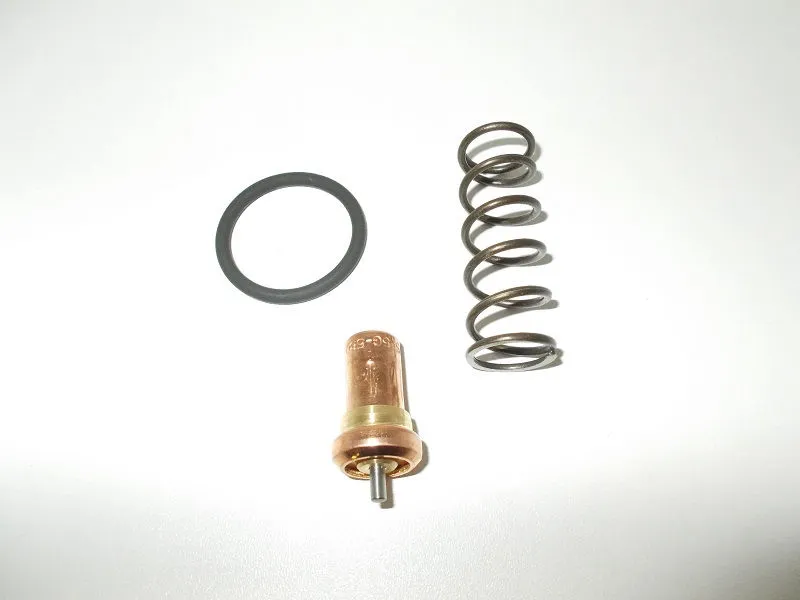 KVAT.1395 Spares parts kit for thermostatic valve VT - VT25/27 63° image 0