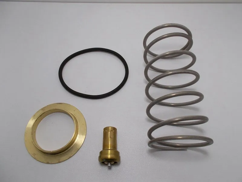 KVAT.1690 Maintenance kits for thermostatic valve VTS50 - VTS55 71 image 0