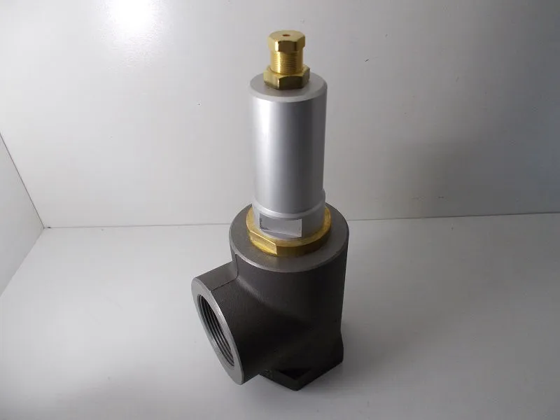 VPM.0405 Minimum pressure valve G50T image 0