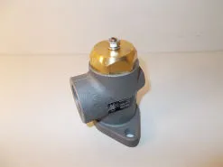 VPM.1101 Minimum pressure valve G25F - 1"