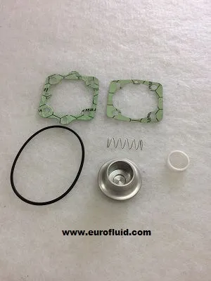 KITPR2810 Spare part kit for 2200900953 image 0