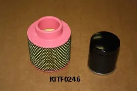 KITF0246 Air-oil filter kit