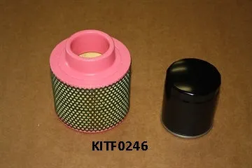 KITF0246 Air-oil filter kit image 0