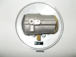 VADR.0300 Intake valve R20/SCI8