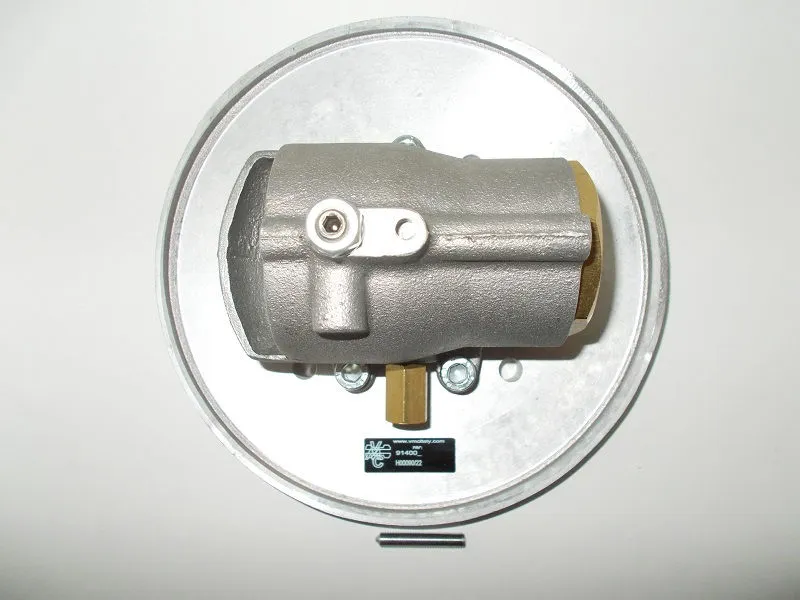 VADR.0300 Intake valve R20/SCI8 image 0