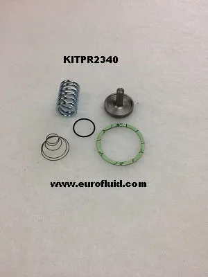 KITPR2340 Minimum pressure valve kit for 6259026500 image 0