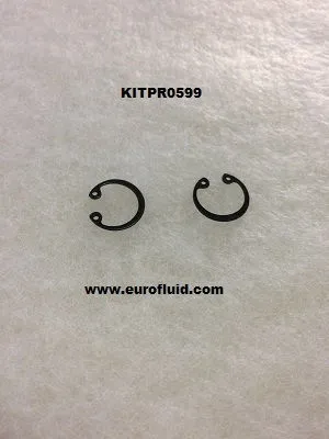 KITPR0599 Circlip for MCI19 image 0