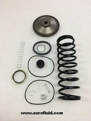KITPR2335 Maintenance kit for intake valves for 6219068000 image 0