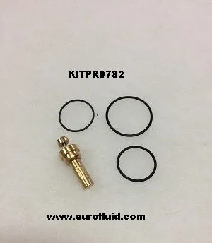 KITPR0782 Thermostatventil-Kit für 400888.0 image 0