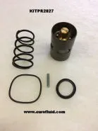 KITPR2827 Thermostatic valve kit 55°C for A11513574