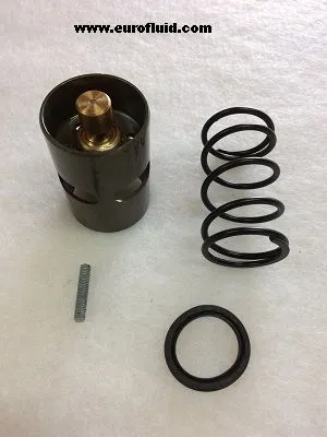 KITPR2826 Thermostatic valve kit 70°C for A11511974 image 0