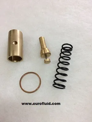 KITPR2830 Thermostatic valve kit 70°C for 2420425667P image 0