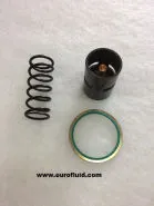 KITPR2833 Thermostatic valve Kit