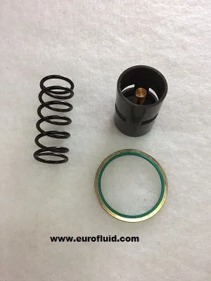 KITPR2833 Thermostatic valve Kit  image 0