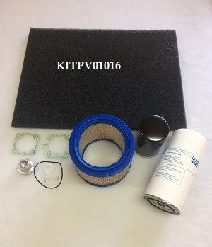 KITPV01016 6000h kit for 2200902210 image 0