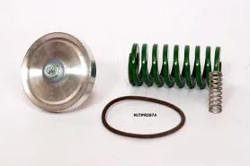 KITPR2874 Service kit for 250018-456