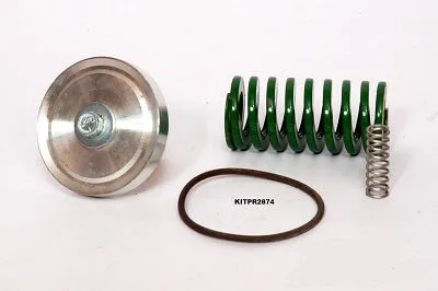 KITPR2874 Service kit for 250018-456 image 0