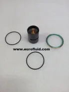 KITPR2892 Thermostatic valve kit for 2901906900