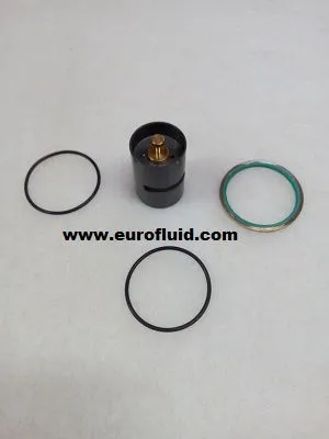 KITPR2892 Thermostatic valve kit for 2901906900 image 0