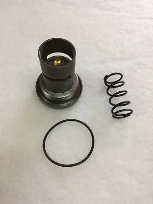 KITPR2840 Thermostatic insert for 2901907000 image 0