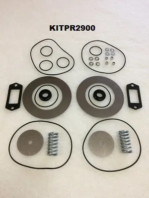 KITPR2900 Valve kit for 1503580060 image 0