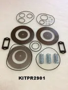 KITPR2901 Valve kit for 1503580064