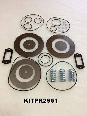 KITPR2901 Valve kit for 1503580064 image 0