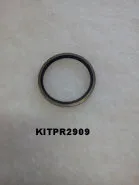 KITPR2909 Steel washer for A93149760