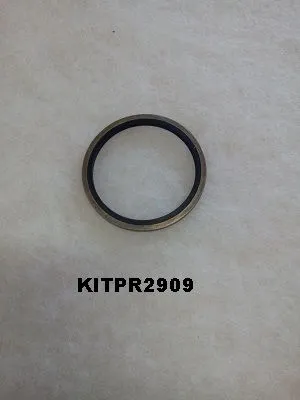KITPR2909 Steel washer for A93149760 image 0