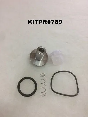 KITPR0789 Minimum pressure valve kit for 400715.1 image 0