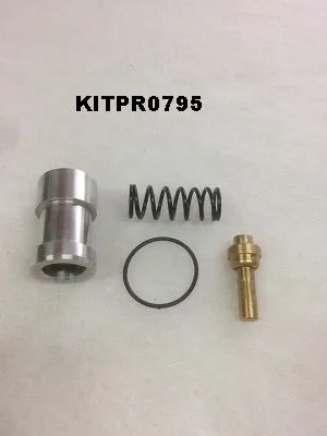 KITPR0795 Thermostatic valve kit 80° for 400995.00030 image 0