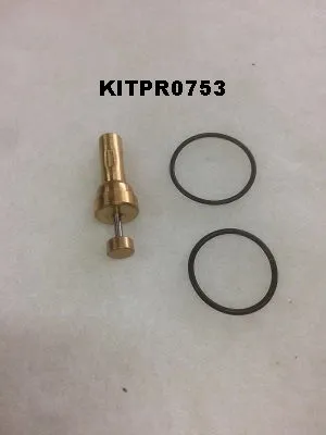 KITPR0753 Kit vanne thermostatique équivalent à 400888.00020 image 0