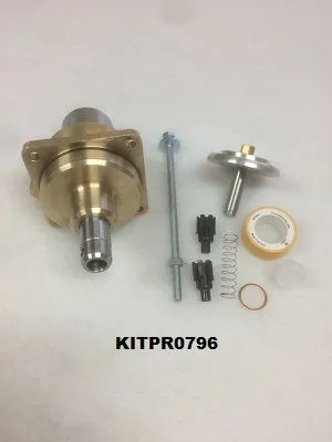 KITPR0796 Kit valve d'admission équivalent 400991.0 image 0