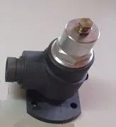 KITPR2911 Minimum pressure valve for 100012308 image 0