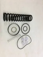 KITPR2919 Intake valve for 2420269670P