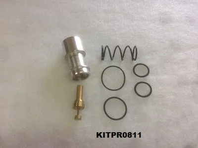 KITPR0811 Thermostatic valve kit for 400848.0 image 0