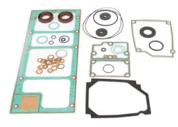 YKJ031 Gasket kit for vacuum pump