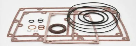 YKJ259 Gasket kit for vacuum pump image 0