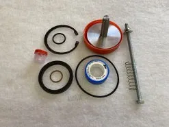 KITPR0865 Intake valve kit for 400990.0