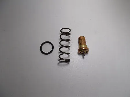 KPRA.0020 Kit for thermostatic valve 55° for Practiko 5 to 55 image 0