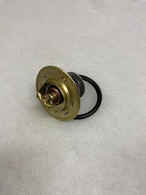 KITPR3014 Thermostatic valve 63°C image 1