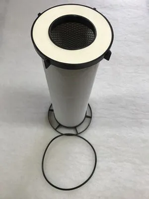 YBEK46 Cartridge for Beko filter 1µ image 1