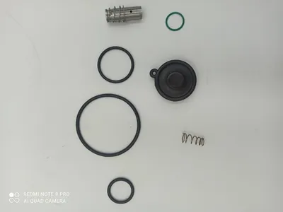 KITPR3026 Gasket kit for EWD50 image 0
