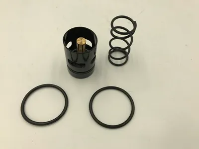 KITPR3033 Thermostatic valve kit  for 2420302671P image 0