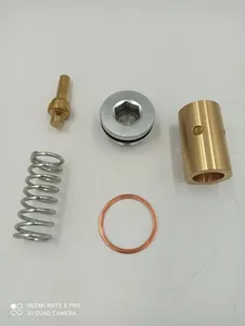 KITPR3030 Thermostatic valve kit  for 2420426667P image 0