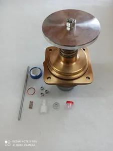 KITPR0817 Intake valve Kit for 401810.0 image 0